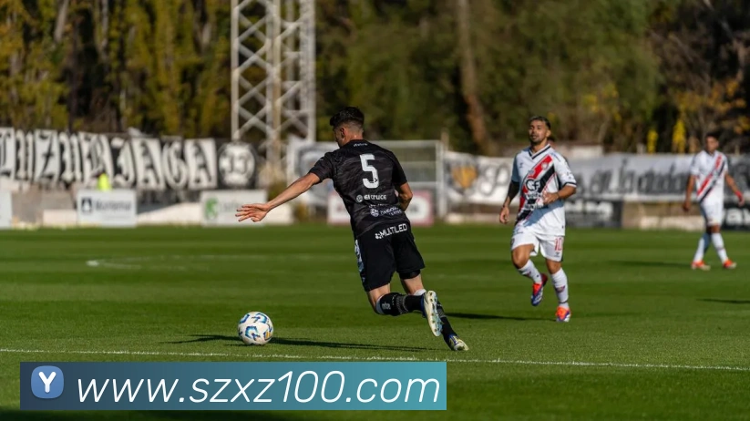 巅峰国标pg官网入口平台生态图